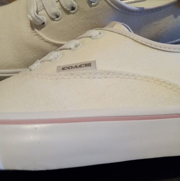 Coach CitySole Skate Sneakers - Picture 14 of 14